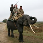 kaziranga national park