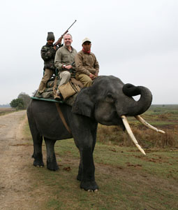 kaziranga national park