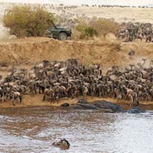 The Great Migration, Tanzania, Kenya