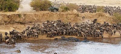 The Great Migration, Tanzania, Kenya