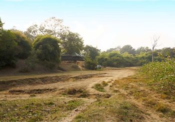 alizanjha, tadoba, tiger reserve