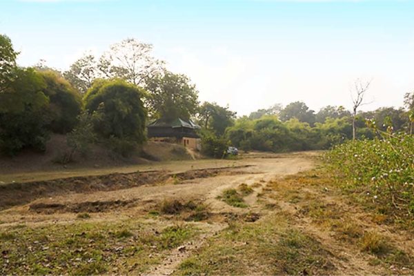 alizanjha, tadoba, tiger reserve