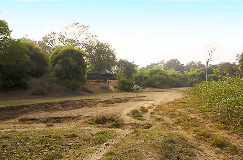 alizanjha, tadoba, tiger reserve
