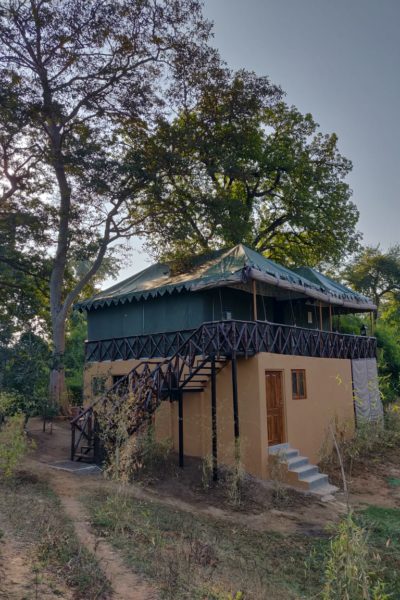 A5 tadoba