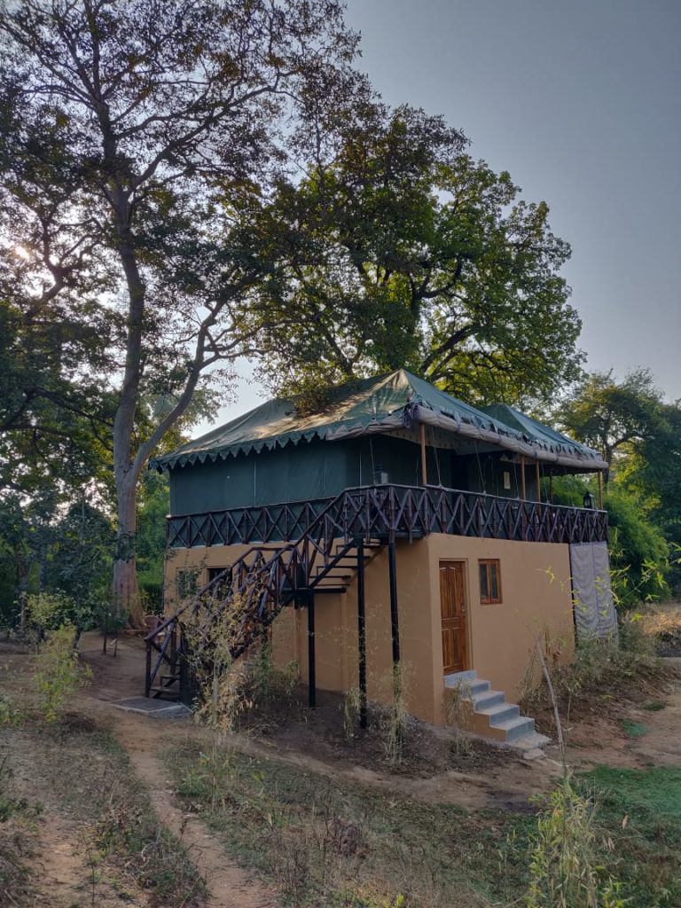 tadoba